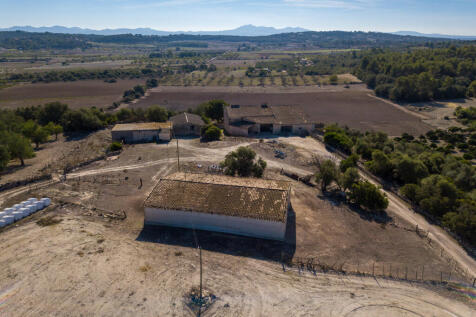 71719 drone web-9.jpg