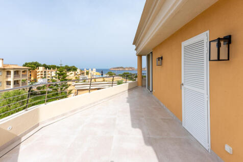 76995  small-22.jpg