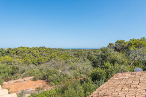 Finca_Santanyi_64016_1280-222.jpg