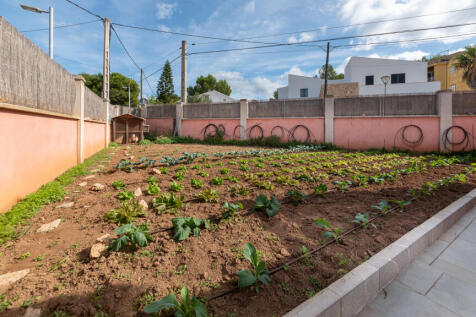 31 huerto.jpg