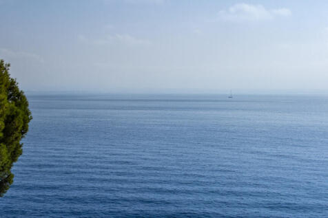 75433 small-3.jpg