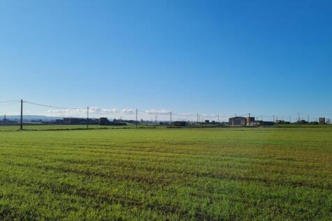 df5b3e55-9a51-402d-9cfa-d1ebb6bd76da.jpg
