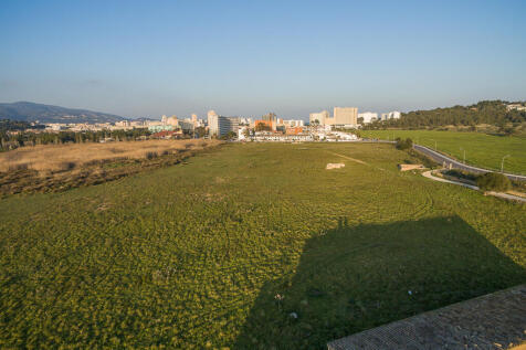 Building land without license_Magalluf_53013_12...