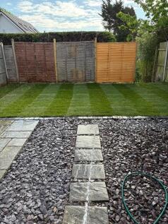 garden grass