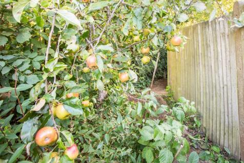 Property Image 20