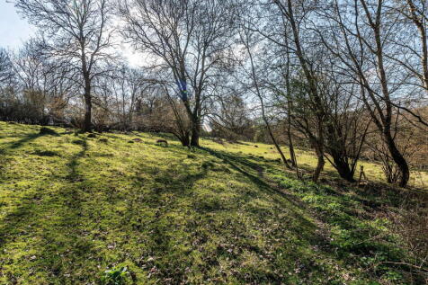 Property Image 35
