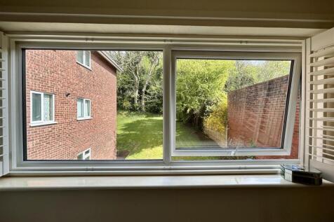 IMG_6617.jpeg
