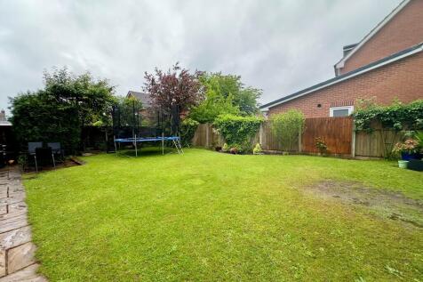 rear garden 2