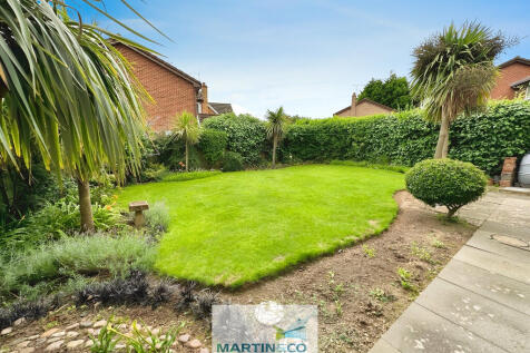 5bdd6efb-Meadow 2...