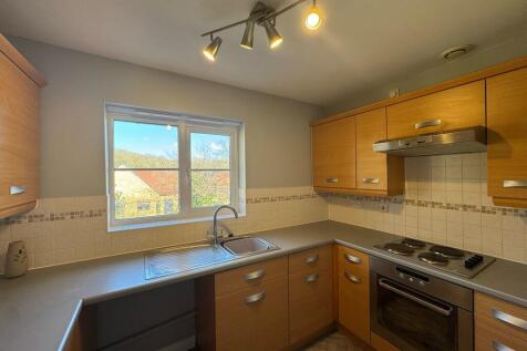 IMG-20250228-WA00...