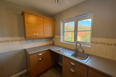 IMG-20250228-WA00...