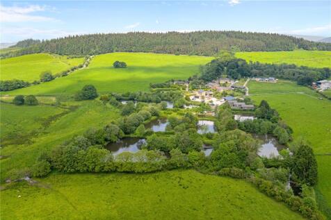 Aerial Shot
