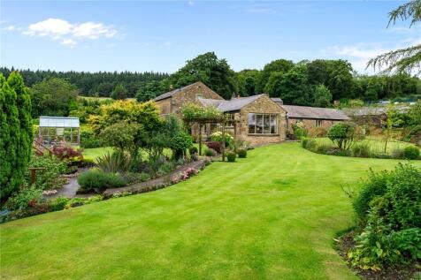 Rear Gardens