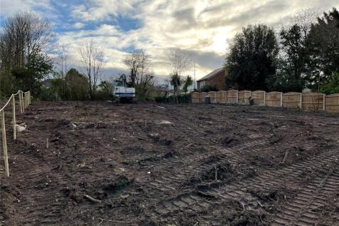 Development Plot