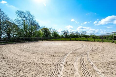 Lunge Pen