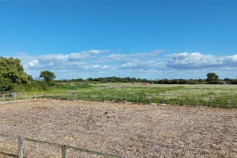 Sand Paddock