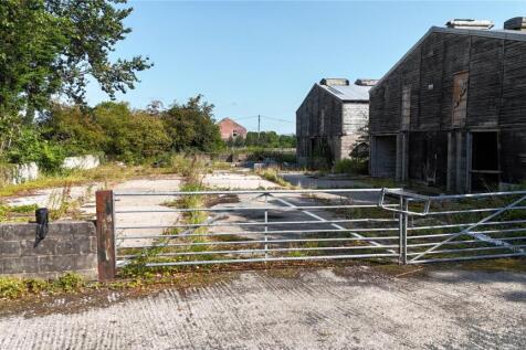 Yard (1)