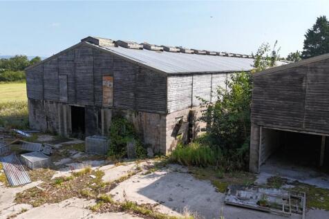Yard (2)