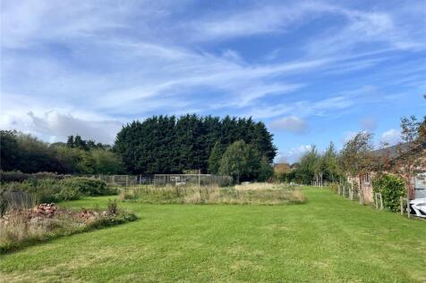 Site Photo 4