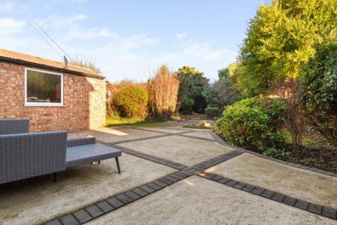 Patio Area