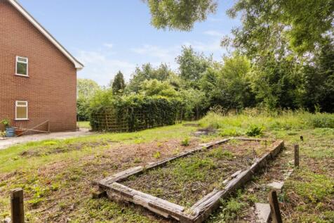 Vegetable Plot