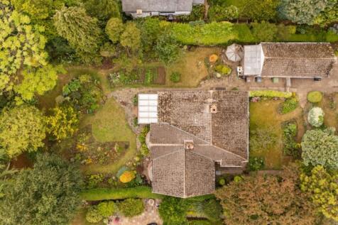 Elevated Shot