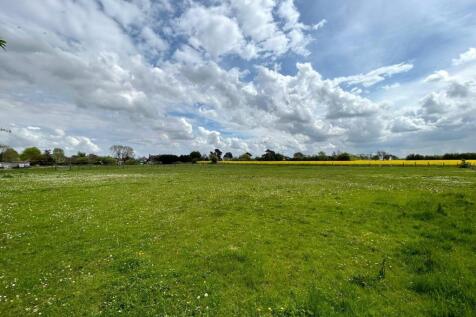 View Of Site