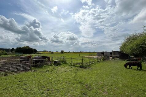 View From Site