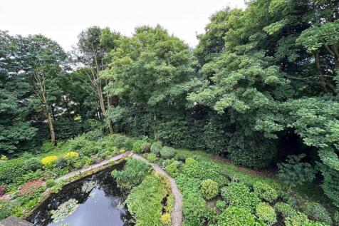 view.jpg
