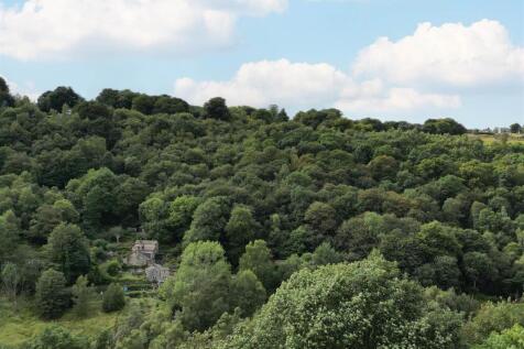 DJI_0319-Edit.jpg