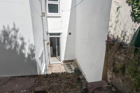Back garden
