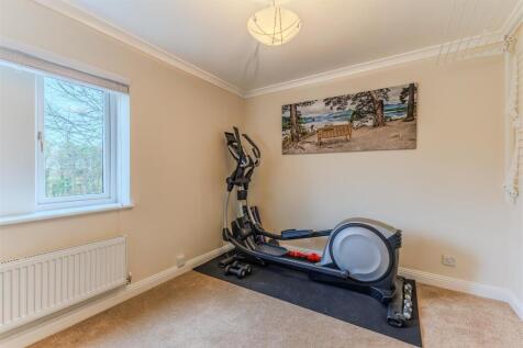 6R1A2664-HDR.jpg