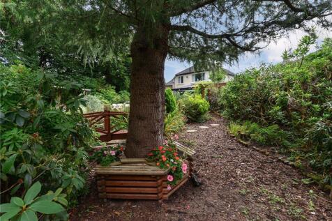Woodland Grove