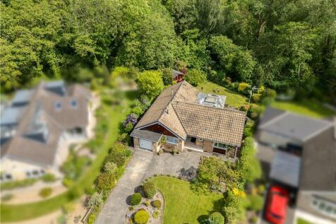 Arial Image
