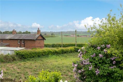 Garden Views