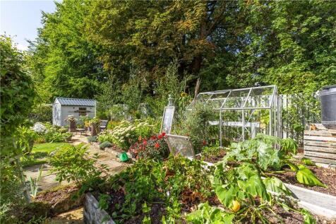 Vegetable Patch