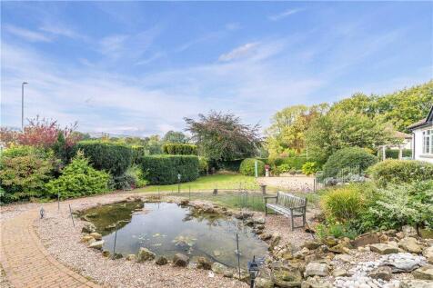 Pond