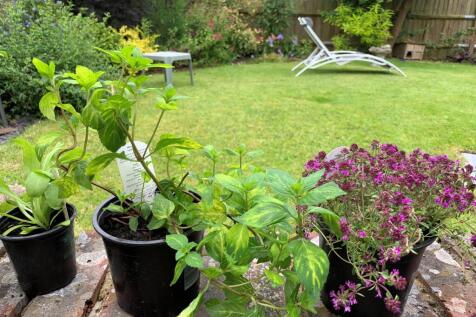 Property Image 32