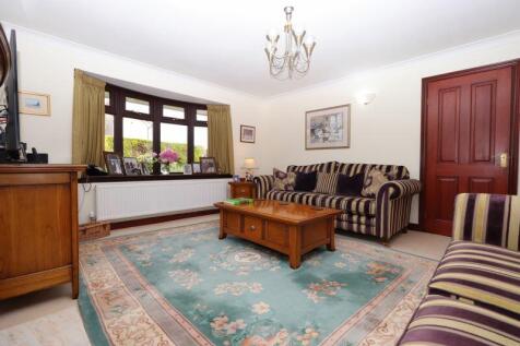 L-Shaped Through Living Room/Dining Room