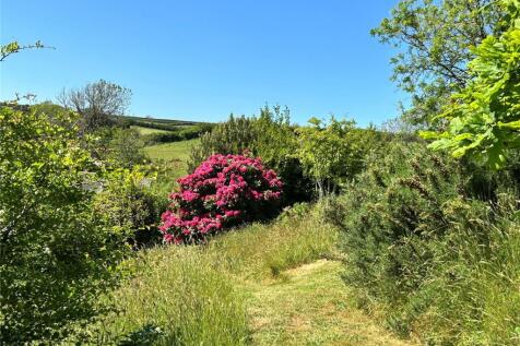 Wild Meadow