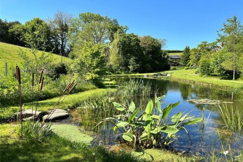 Swimming Pond
