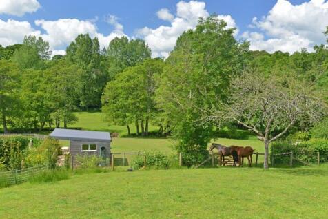 Grazing