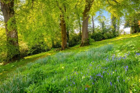 Woodland