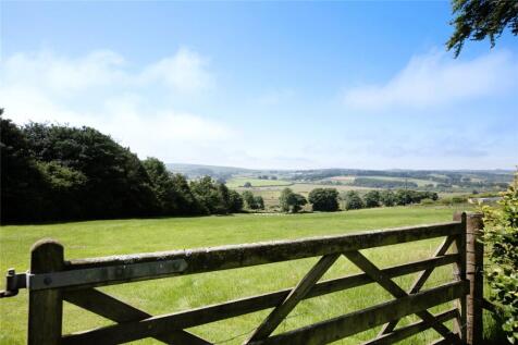 Grounds