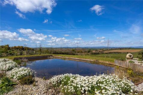 Pond