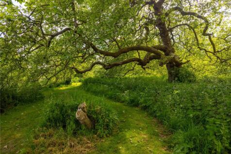 Grounds