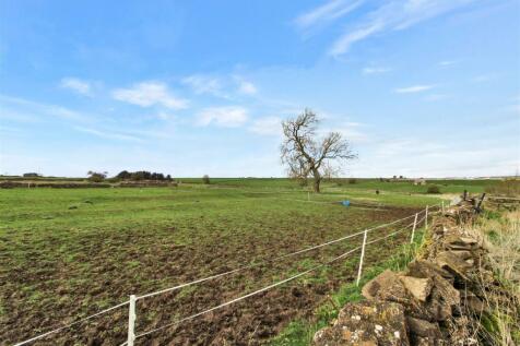 PADDOCKS