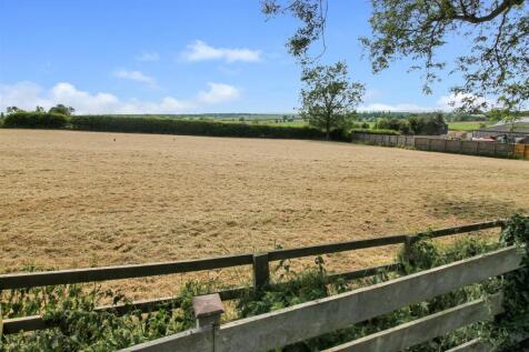 Field View