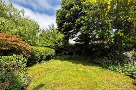 back garden 2