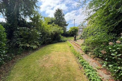 back garden 3